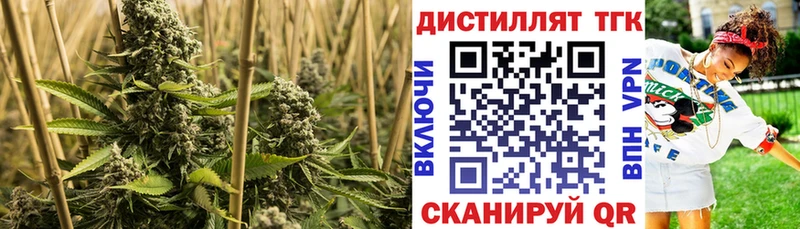 цены   Нижняя Салда  ТГК THC oil 